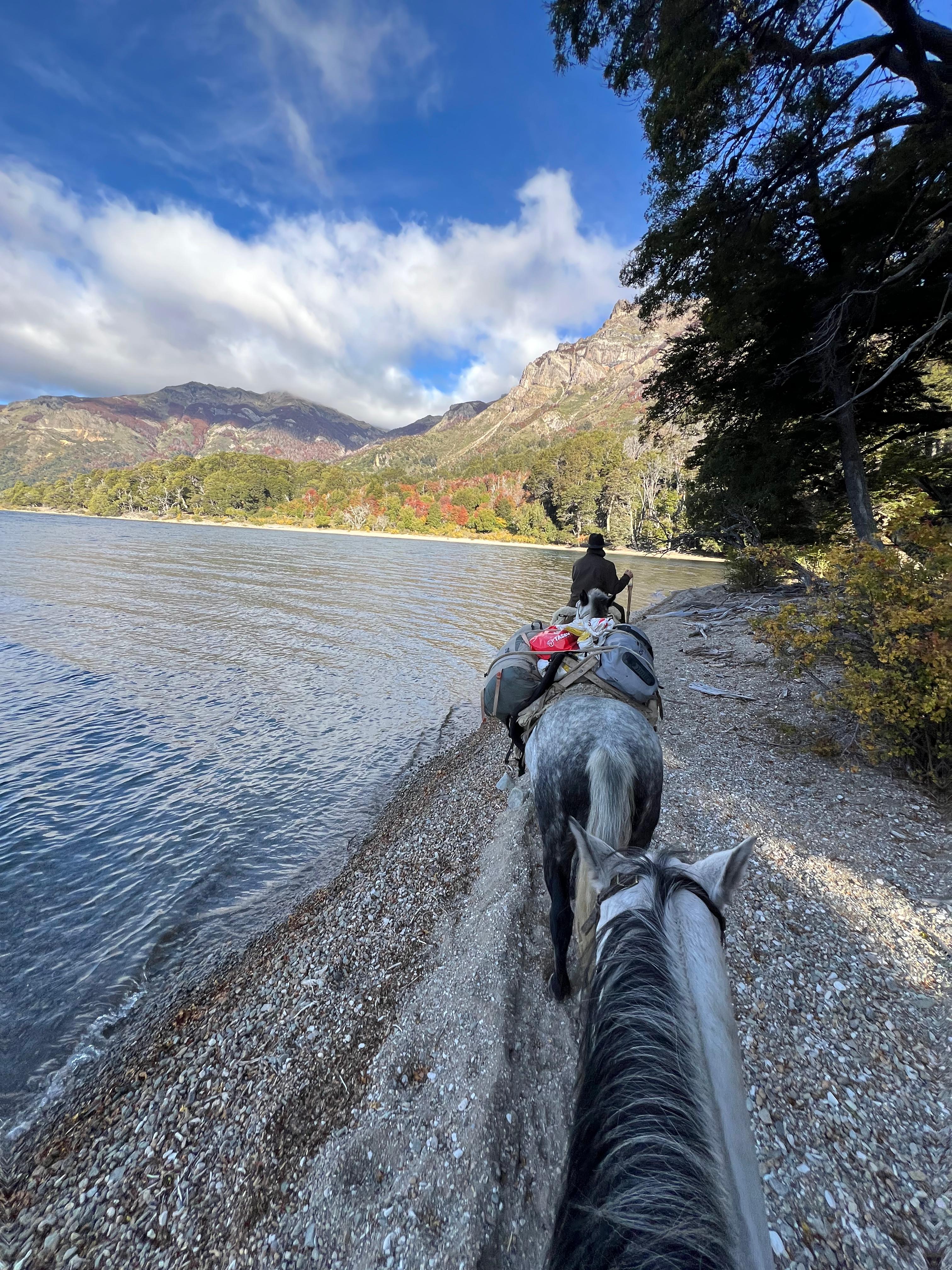 Caballo ensillado