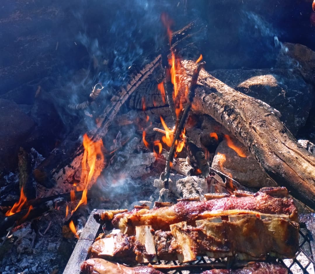 Fuego y asado