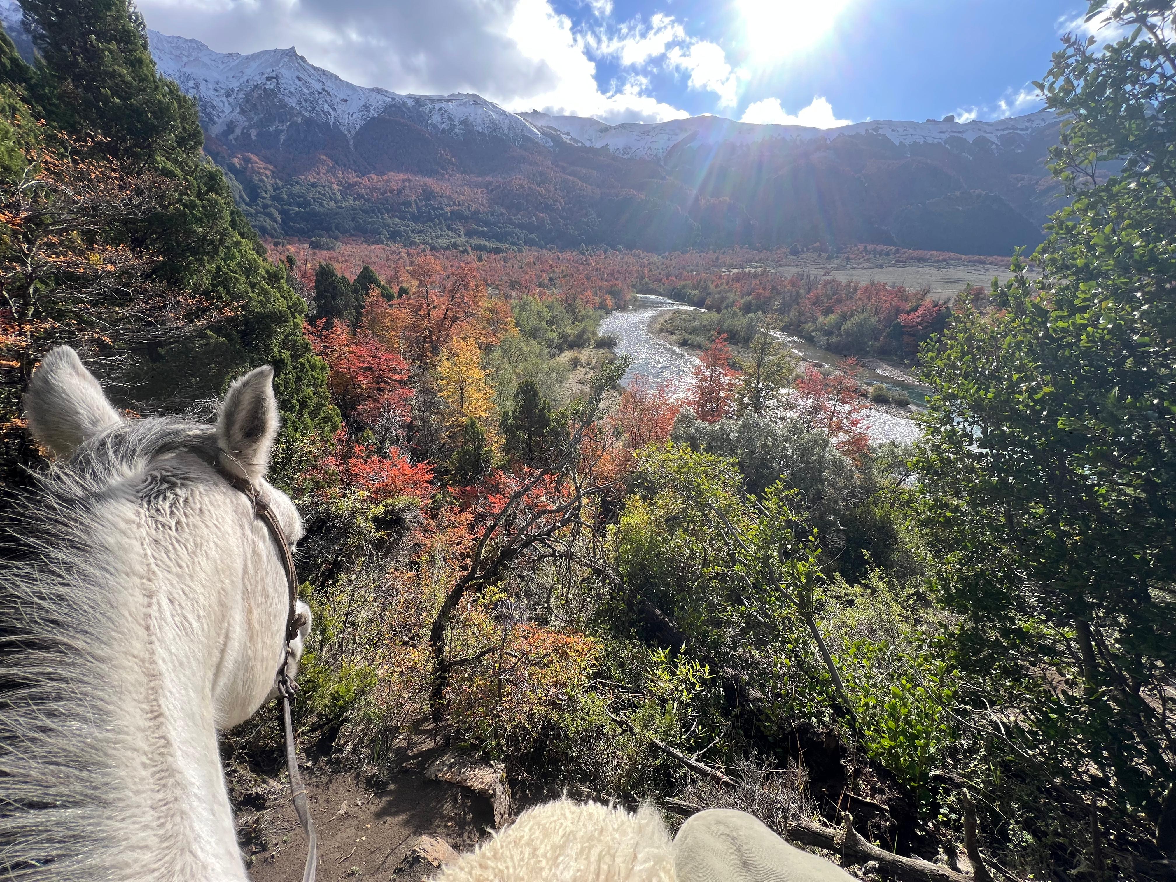 Filuko Patagonia
