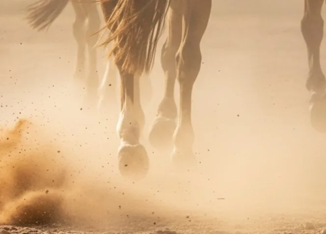 Caballos en polvo — Filuko Patagonia