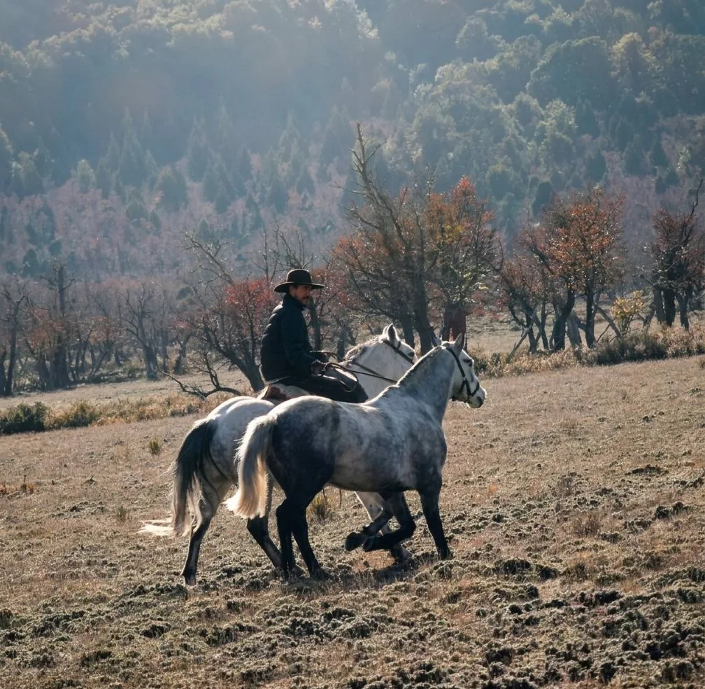 Gaucho cabalgando