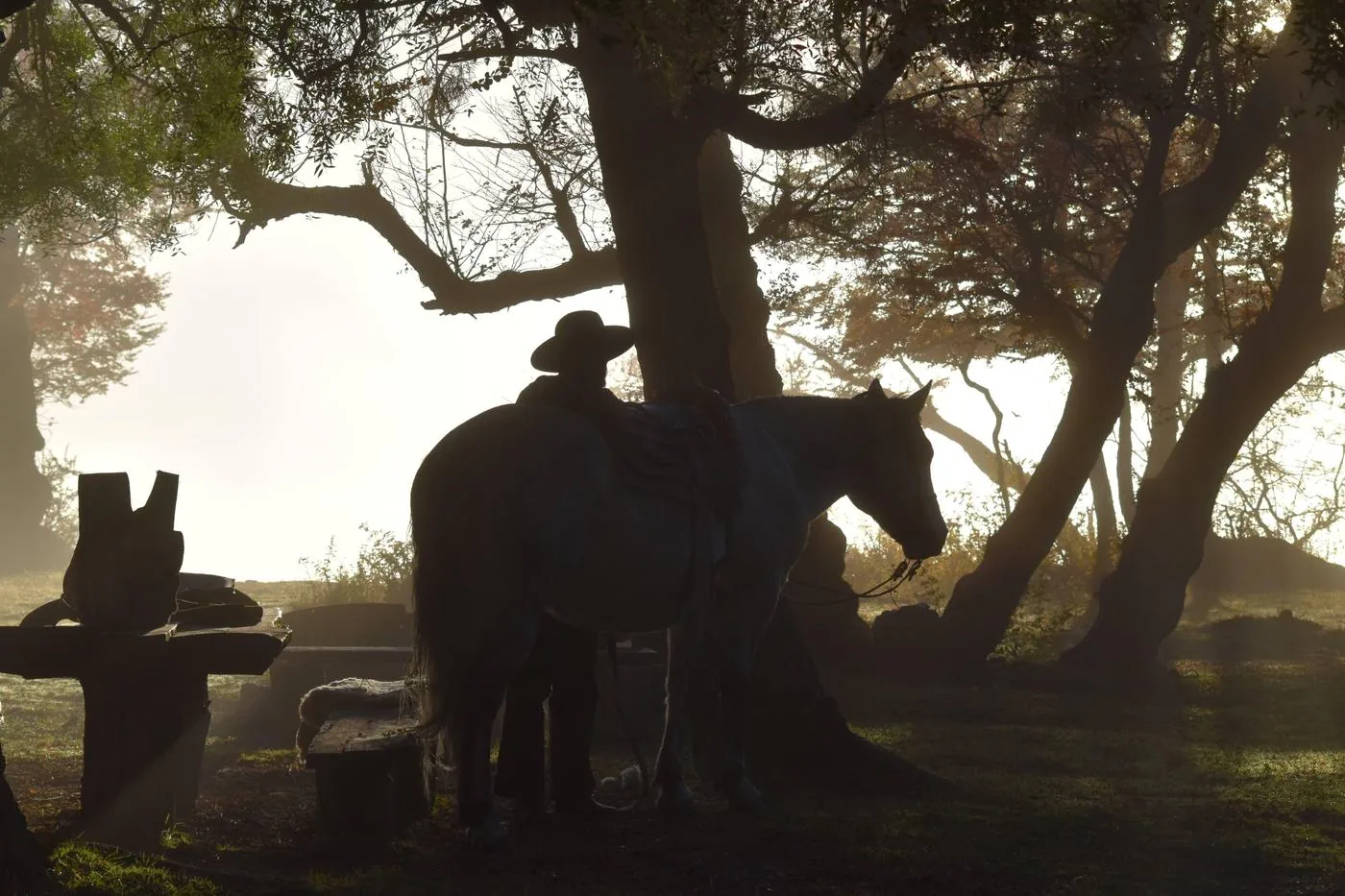 Gaucho en la niebla